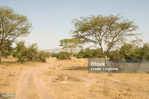 Paesaggio Africano - Fotografie stock e altre immagini di Africa - Africa, Africa orientale, Ambientazione esterna
