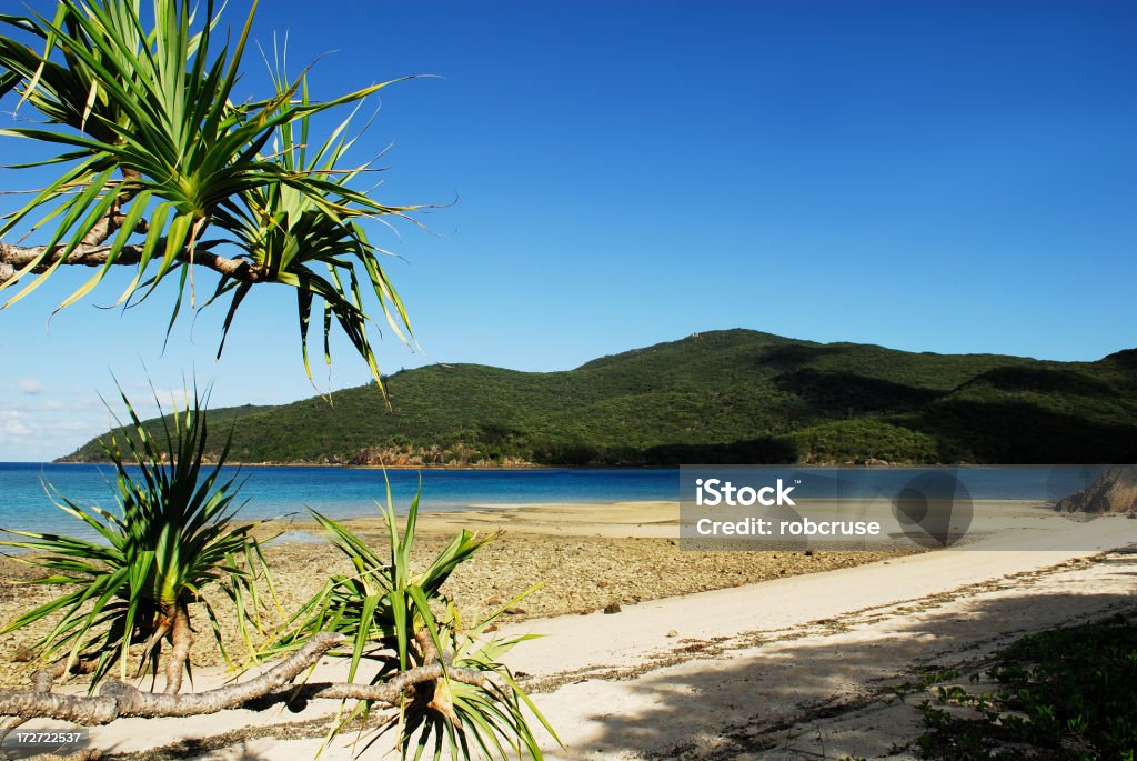 Embarcadero desierto Beach-Whitsunday Islands - Foto de stock de Airlie Beach libre de derechos