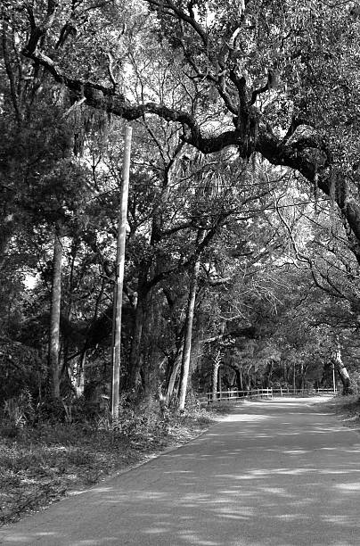 istock Country Road Black & White 172723061