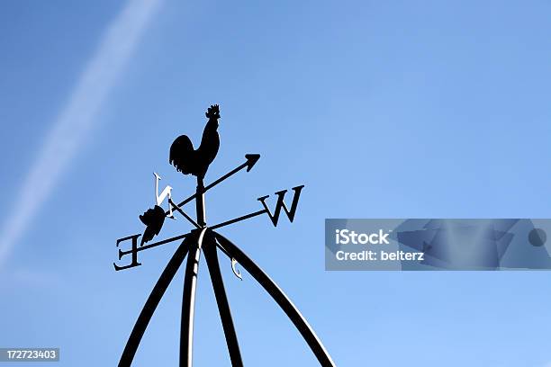Weathervane - オスのひな鳥のストックフォトや画像を多数ご用意 - オスのひな鳥, コンセプト, シルエット