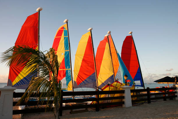 Sails Against a Late Afternoon Sky