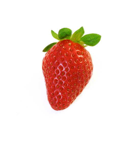 Strawberry stock photo