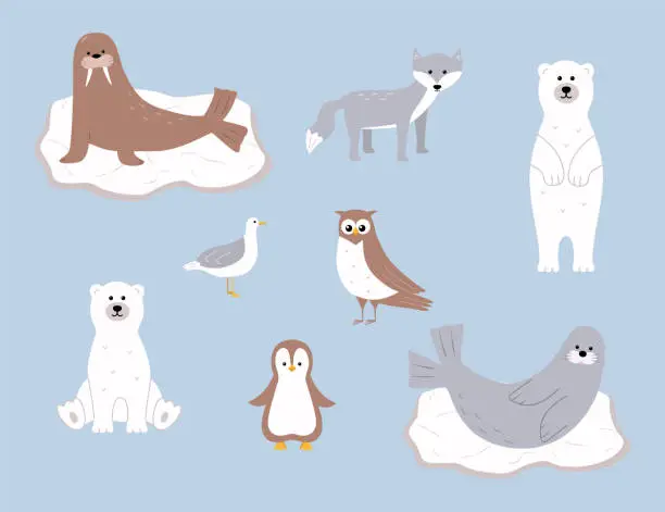 Vector illustration of Cute Arctic animals. Vector illustration with funny polar animals. Polar bear walrus seal seagull scribe owl.