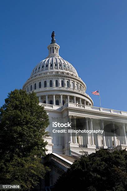 Capitólio Dos Estados Unidos Em Washington Dc - Fotografias de stock e mais imagens de Alto - Descrição Física - Alto - Descrição Física, Arquitetura, Arte