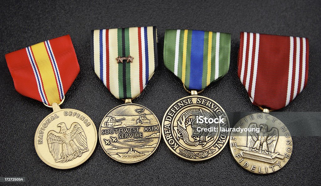 미국 군용동물에는 메달 2개 - 로열티 프리 공군 스톡 사진