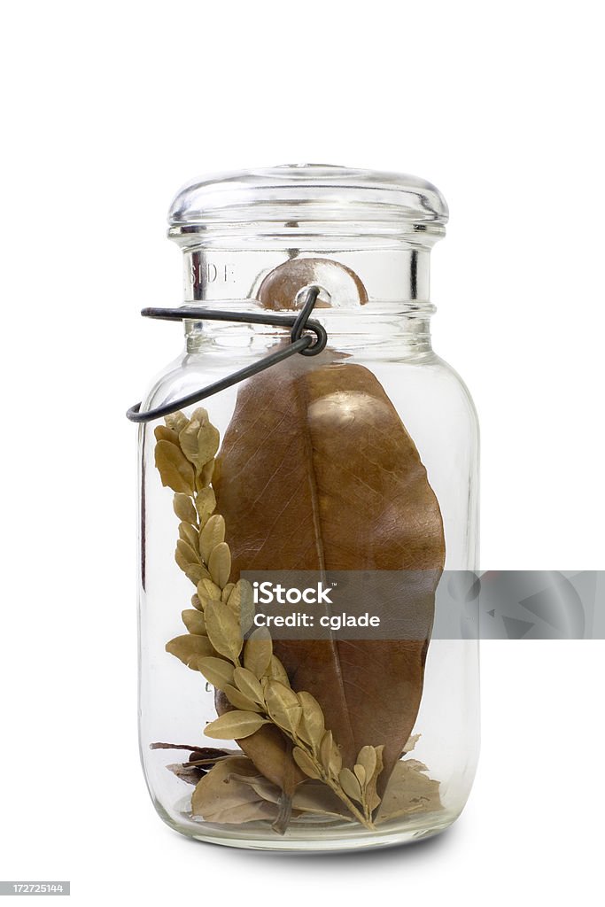 Сухое листва в банку (с Обтравка - Стоковые фото Белый фон роялти-фри