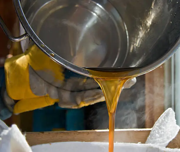 Photo of Pouring maple syrup from bucket into strainer
