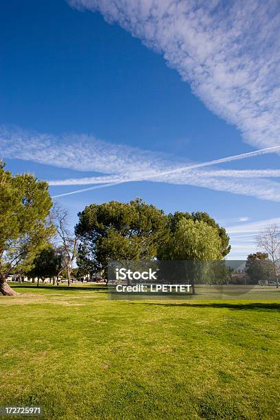 Randal D Simmons Park Stock Photo - Download Image Now - Backgrounds, California, City Of Los Angeles