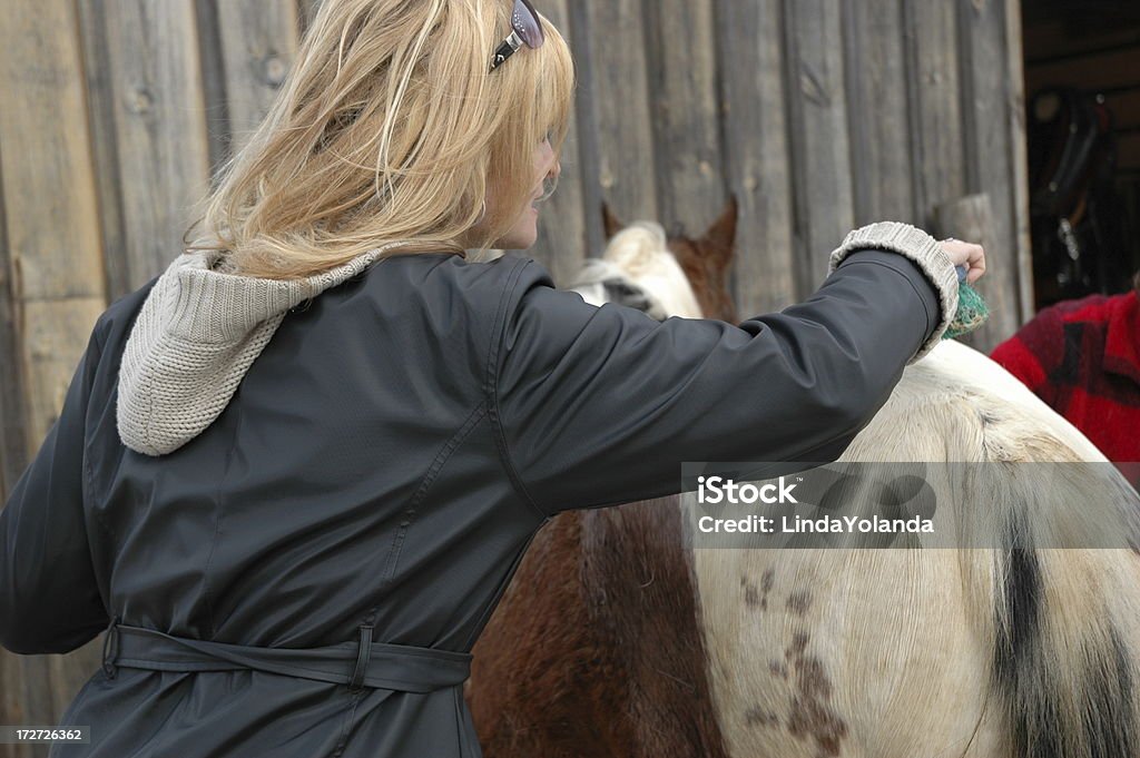 Filles Cleans cheval - Photo de Cheval libre de droits