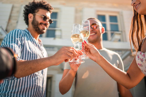 celebración de la fiesta en la piscina de la villa con amigos diversos - 13417 fotografías e imágenes de stock