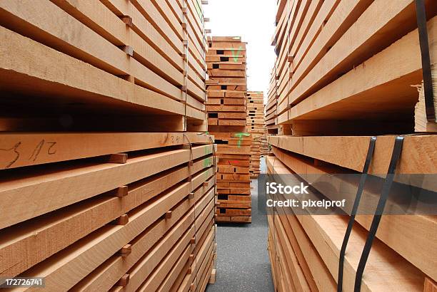 Stosy Beech Moduły - zdjęcia stockowe i więcej obrazów Skład drewna - Skład drewna, Drewno - Materiał budowlany, Drewno - Tworzywo