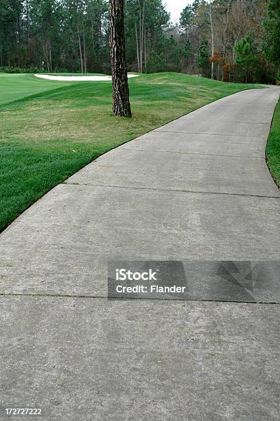 Campo De Golfe Da Flórida Série De Inverno - Fotografias de stock e mais imagens de Florida - EUA - Florida - EUA, Passeio, Ajardinado