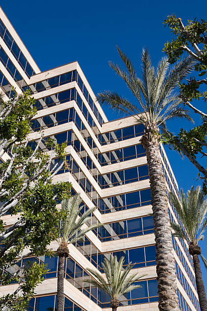 istock metropolitan office building palm trees blue sky 172727344