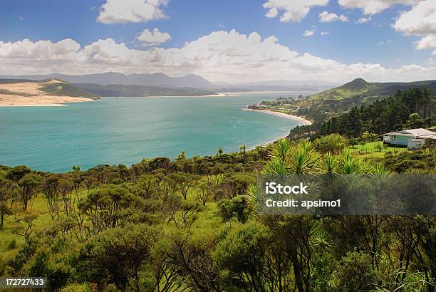 西海岸ニュージーランド - コルディリネ属のストックフォトや画像を多数ご用意 - コルディリネ属, シャレー, タスマン海