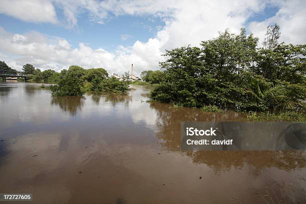 홍수 리즈모어 리즈모어에 대한 스톡 사진 및 기타 이미지 - 리즈모어, 홍수, 0명