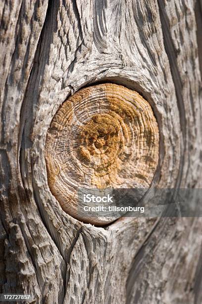 Nudo De Madera Foto de stock y más banco de imágenes de Agrietado - Agrietado, Con textura, Desgastado por el tiempo