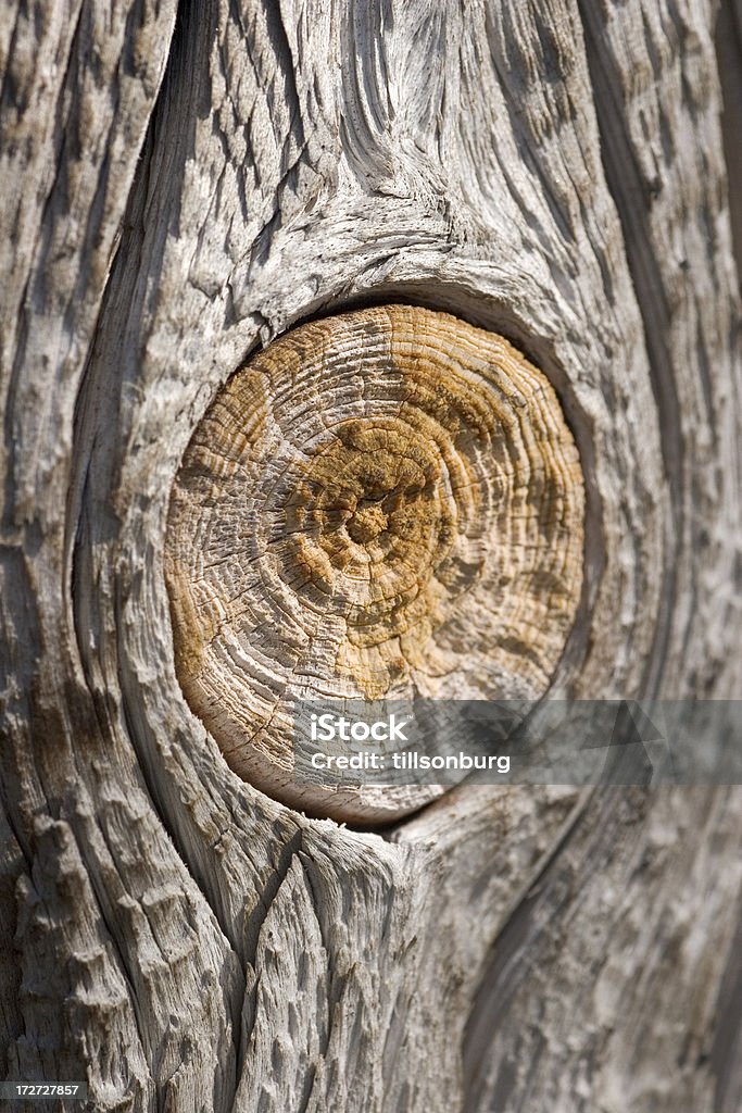 木製の結び目 - ひびが入ったのロイヤリティフリーストックフォト