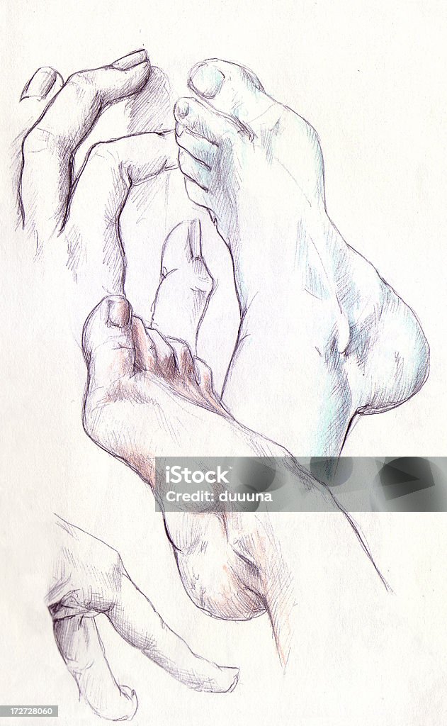 real Zeichnung, Hände und Füße - Lizenzfrei Anatomie Stock-Illustration