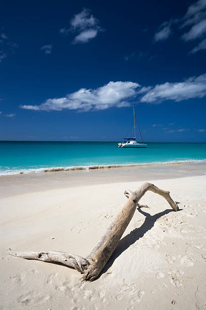 istock Catamaran Beach and Driftwood 172728222