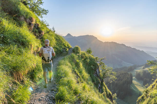 istock Hiker along sunny mountain ridge 1727282417