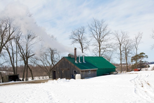 Building where maple sap is distilled into maple syrup