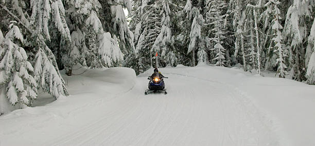 Snowmobile riders "snowmobile, winter, snow, forest, rider, trail, frost, transportation" Snowmobiling stock pictures, royalty-free photos & images