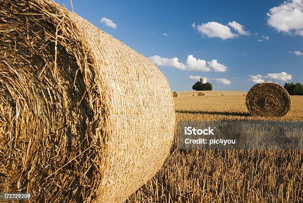 Colheita - Fotografias de stock e mais imagens de Agricultura - Agricultura, Aldeia, Alimentar