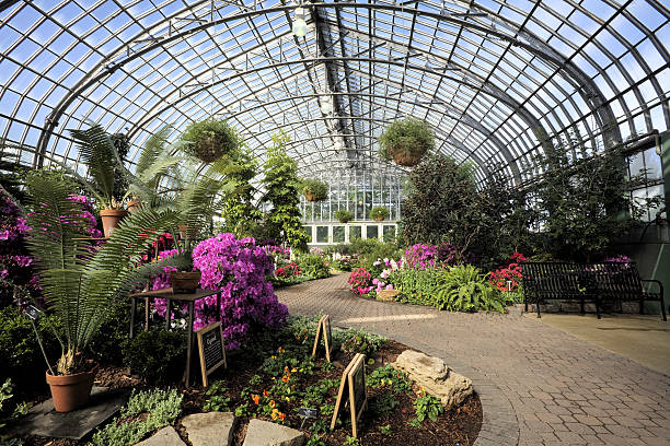 «garfield парк conservatory - palm house стоковые фото и изображения