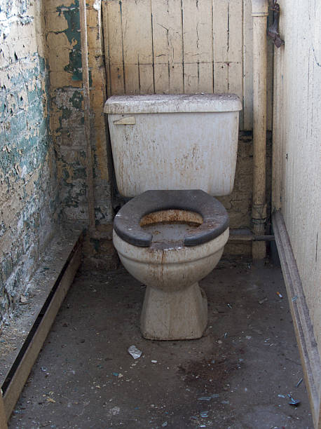 istock Grungy Derelict Toilet 172729938