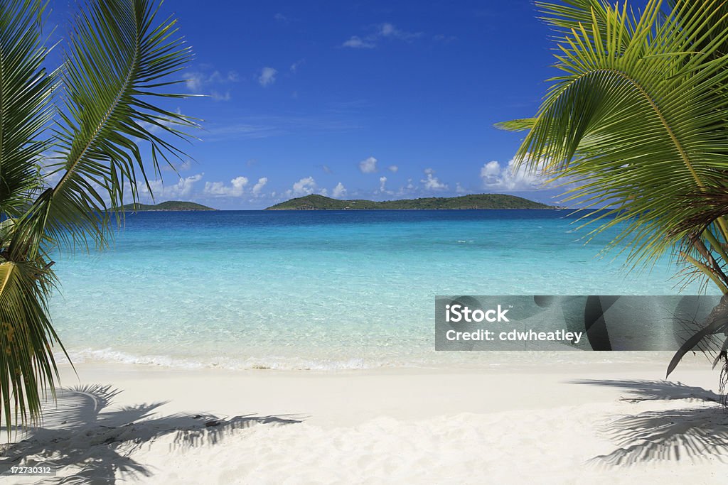 Virgin Islands beach beautiful tropical beach with crystal clear water and white sand between two palm trees, St.John, US Virgin Islands Beach Stock Photo Virgin Islands beach beautiful tropical beach with crystal clear water and white sand between two palm trees, St.John, US Virgin Islands Beach Stock Photo