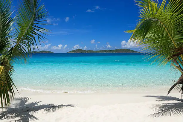 beautiful tropical beach with crystal clear water and white sand between two palm trees, St.John, US Virgin Islands