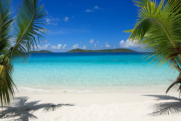 wyspy dziewicze beach - sea turquoise tropical climate summer zdjęcia i obrazy z banku zdjęć