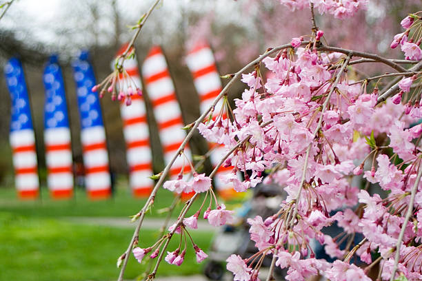 istock Cherry blossom festival with flags 172730466