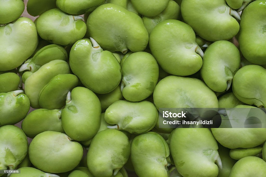 Broad Bean - Lizenzfrei Fotografie Stock-Foto