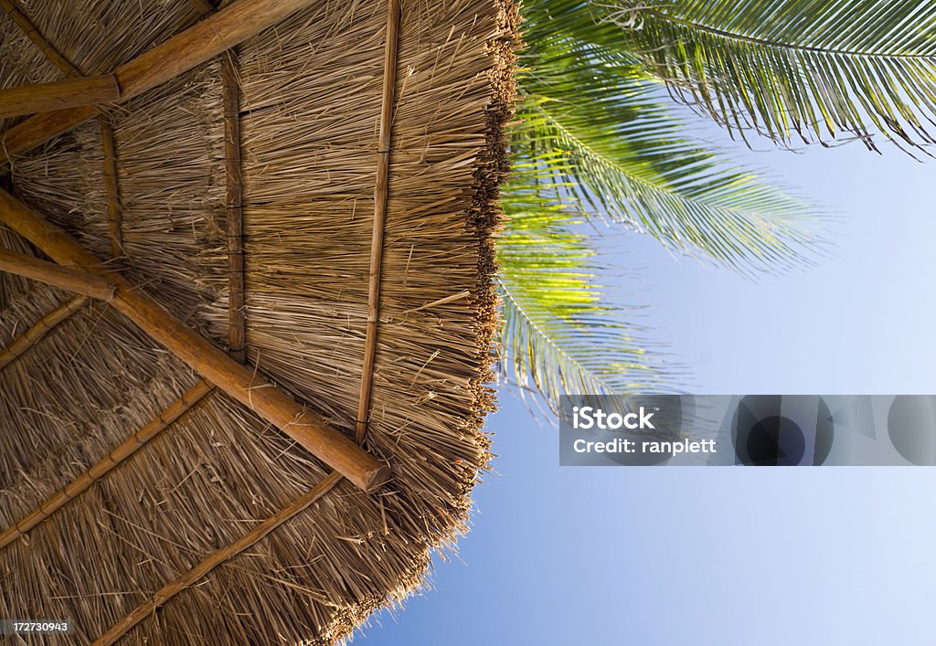 Tropicale ombrello o Palapa - Foto stock royalty-free di Cancún