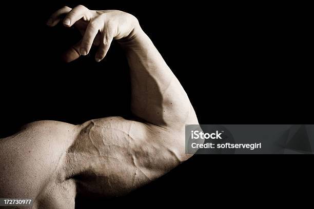 Bicep Of Male Bodybuilder In Pose Stock Photo - Download Image Now - Adult, Anaerobic Exercise, Athlete