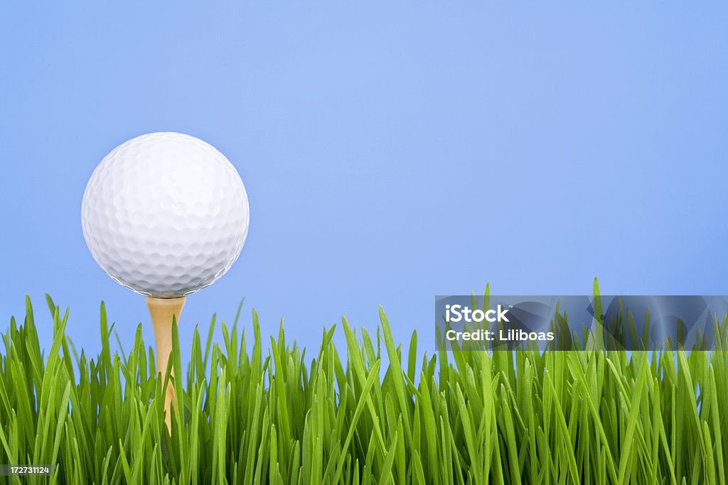 골프 (XL - 로열티 프리 골프 스톡 사진