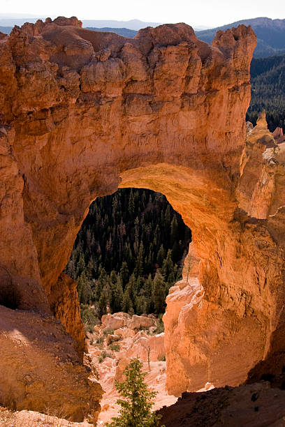 istock Natural Bridge in Bryce Canyon 172731346