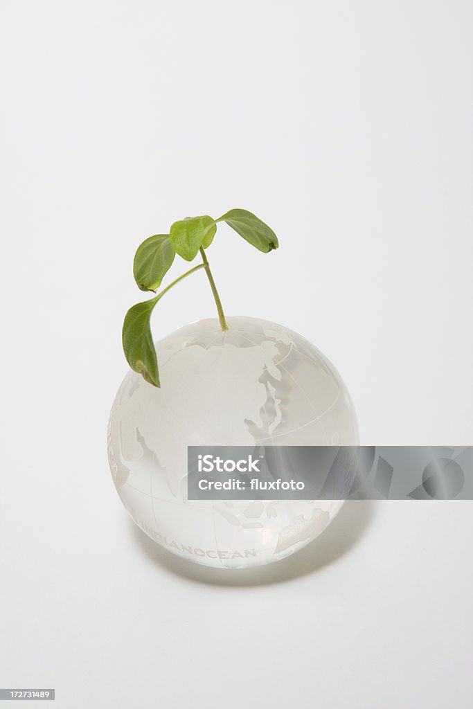 Globe e plantas - Foto de stock de Botão - Estágio de flora royalty-free