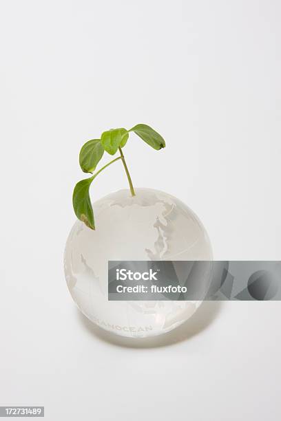 Foto de Globe E Plantas e mais fotos de stock de Botão - Estágio de flora - Botão - Estágio de flora, Crescimento, Dióxido de Carbono