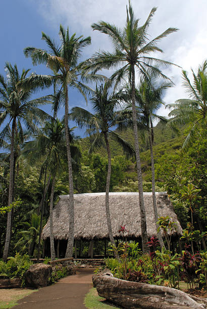 istock Tropical Garden at Iao Valley 172731778