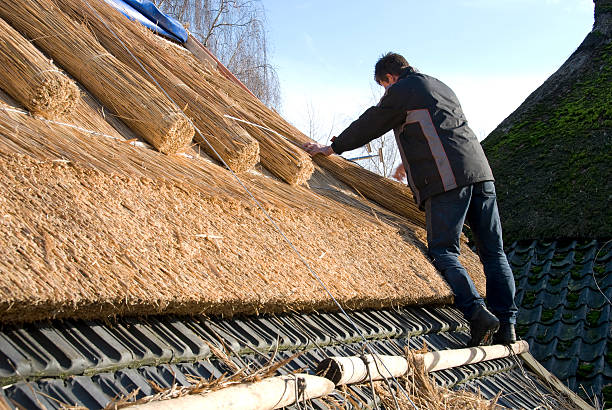 Thatcher Man thatching a new roof.Related images; thatched roof stock pictures, royalty-free photos & images