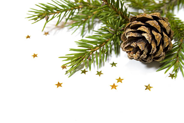 istock Christmas decoration - twig and cone 172732533