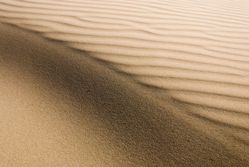 A small sand dune on a beach in New Zealand