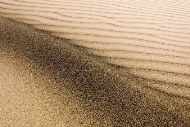 A small sand dune on a beach in New Zealand