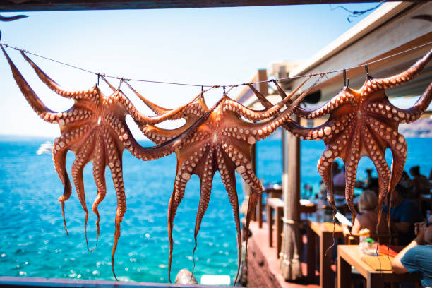 istock Wild octopus cleaned hanging in a beach coastal landscape 1727326863
