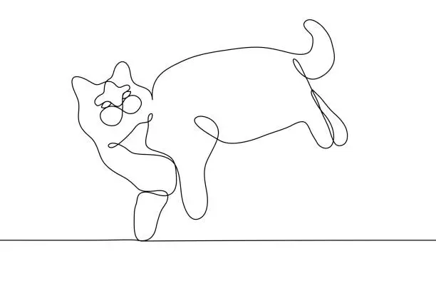 Vector illustration of Thick fluffy cat silhouette one continuous line art on a white background. Square vector drawing of a cat lying on its side. The cat looks up, he is relaxed, he is comfortable. For animation,