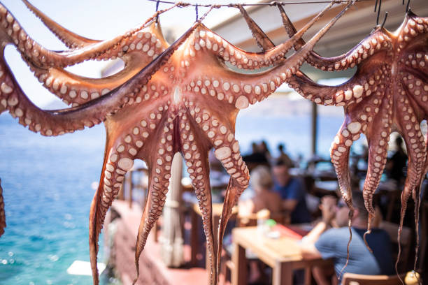 Wild octopus cleaned hanging in a beach coastal landscape