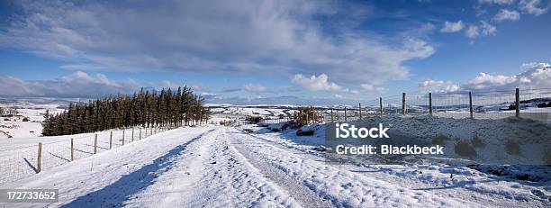 Snowdonia Schneefall Stockfoto und mehr Bilder von Agrarbetrieb - Agrarbetrieb, Anhöhe, Baum