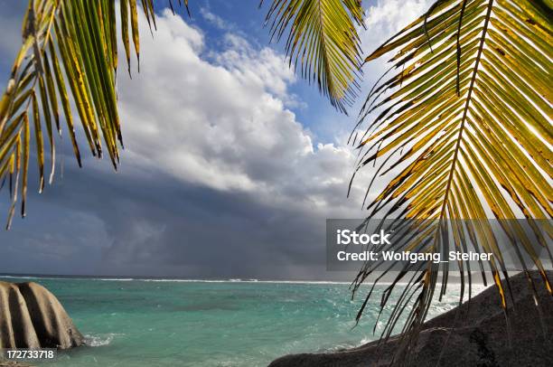 Foto de Palmleafs Em Luz De Fundo e mais fotos de stock de Areia - Areia, Destino turístico, Fotografia - Imagem